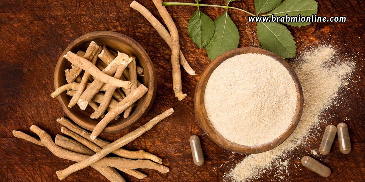 Ashwagandha – A Magical Herb For One And All!
